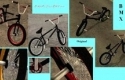 REAL Street  BMX